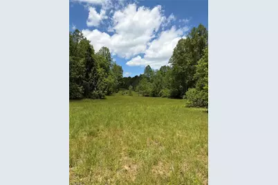 8186 Old 60, Roaring River, NC 28697 - Photo 7
