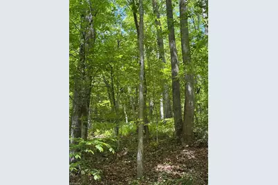 8186 Old 60, Roaring River, NC 28697 - Photo 31