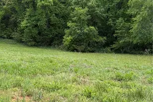 8186 Old 60, Roaring River, NC 28697 - Photo 37