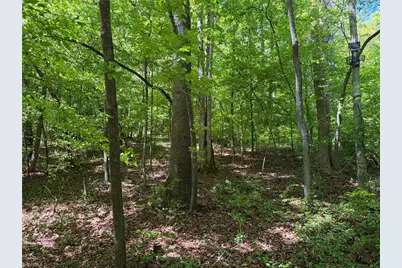 8186 Old 60, Roaring River, NC 28697 - Photo 29