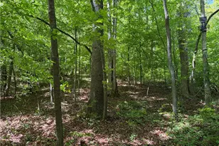 8186 Old 60, Roaring River, NC 28697 - Photo 29