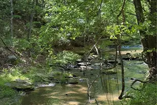 8186 Old 60, Roaring River, NC 28697 - Photo 9
