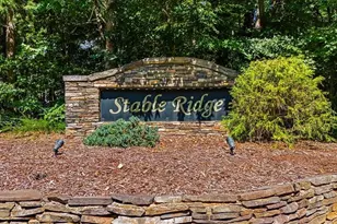 1107 Stallion Ct, Summerfield, NC 27358 - Photo 43