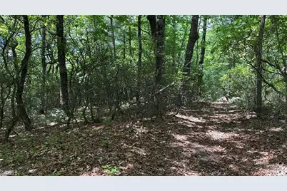 T23 Widow Mountain Drive, Hays, NC 28635 - Photo 11
