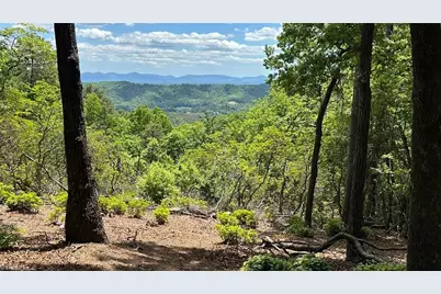 T23 Widow Mountain Drive, Hays, NC 28635 - Photo 1