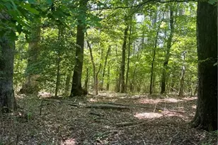 0 Palmer Rd, Westfield, NC 27053 - Photo 1