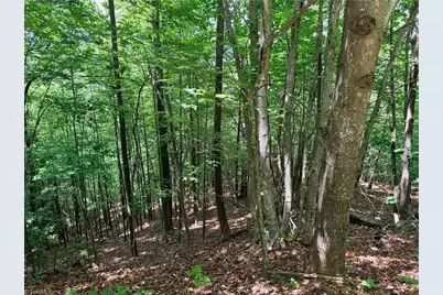 Lot 132A Warren Way, Purlear, NC 28665 - Photo 5