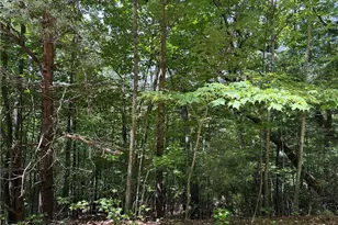 Lot 132A Warren Way, Purlear, NC 28665 - Photo 1