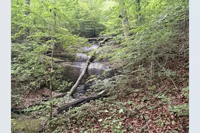0 Nubbin Ridge Road, Reidsville, NC 27320 - Photo 11