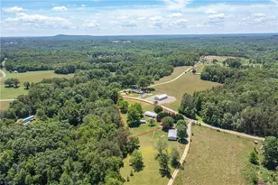1204 Pilot Power Dam Rd, Pilot Mountain, NC 27041 - Photo 45