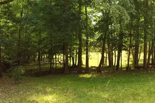 6620 Clyde King Rd, Seagrove, NC 27341 - Photo 37