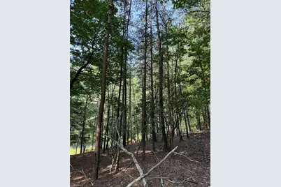 Lot 33 Jonathan Drive, Lowgap, NC 27024 - Photo 7