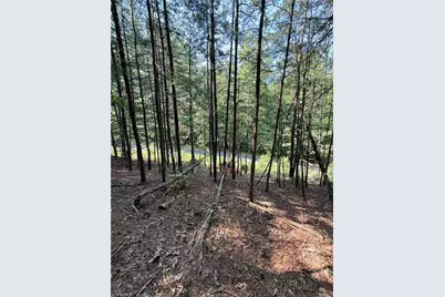 Lot 33 Jonathan Drive, Lowgap, NC 27024 - Photo 19