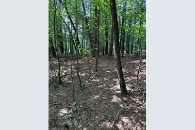 Lot 33 Jonathan Drive, Lowgap, NC 27024 - Photo 13