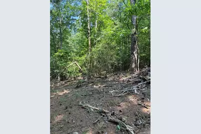 Lot 33 Jonathan Drive, Lowgap, NC 27024 - Photo 15