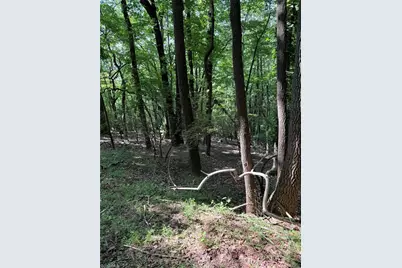 Lot 33 Jonathan Drive, Lowgap, NC 27024 - Photo 23