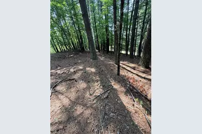Lot 33 Jonathan Drive, Lowgap, NC 27024 - Photo 21