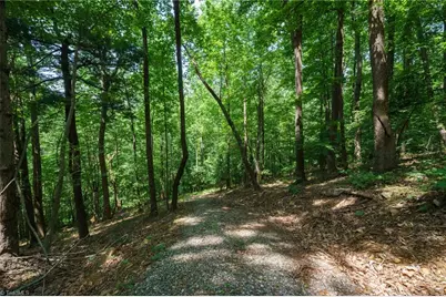 00 Hendren Road, Moravian Falls, NC 28654 - Photo 3