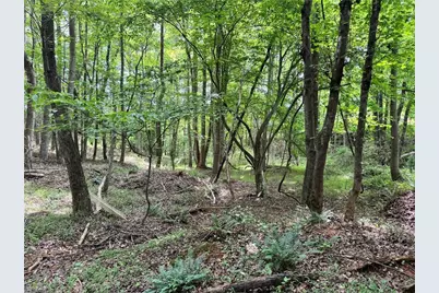 429 Wayne Marshall Road, Elkin, NC 28621 - Photo 15