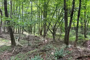 429 Wayne Marshall Rd, Elkin, NC 28621 - Photo 15
