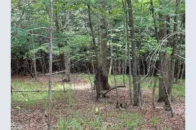 0 Old Lowgap Road, Lowgap, NC 27024 - Photo 3