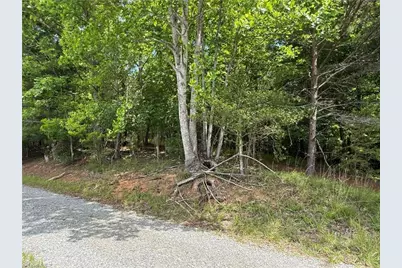 0 Old Lowgap Road, Lowgap, NC 27024 - Photo 7
