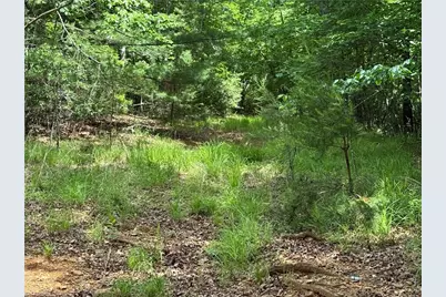 0 Old Lowgap Road, Lowgap, NC 27024 - Photo 5