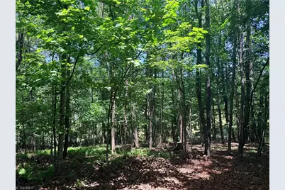 Lot 307 Miller Court, North Wilkesboro, NC 28659 - Photo 13