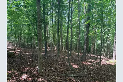 Lot 307 Miller Court, North Wilkesboro, NC 28659 - Photo 31