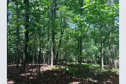 Lot 307 Miller Court, North Wilkesboro, NC 28659 - Photo 33