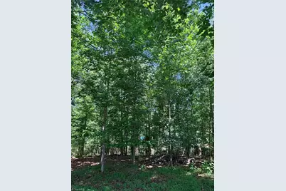Lot 307 Miller Court, North Wilkesboro, NC 28659 - Photo 25