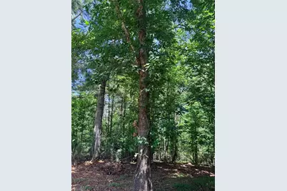 Lot 307 Miller Court, North Wilkesboro, NC 28659 - Photo 17