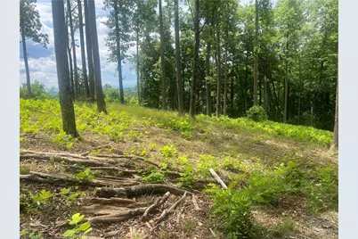 Tbd Wilderness Road, Hays, NC 28635 - Photo 15