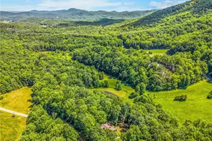 167 Jonathan Dr, Lowgap, NC 27024 - Photo 43