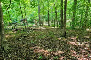 1055 Ed Booth Rd, Westfield, NC 27053 - Photo 13