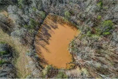 1836 Nc Highway 87, Reidsville, NC 27320 - Photo 49