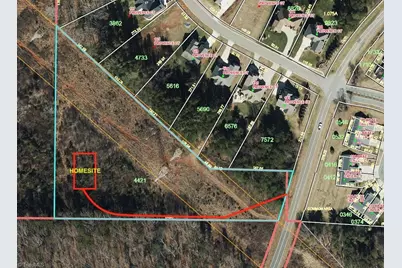 0-0-0 White Road, King, NC 27021 - Photo 3