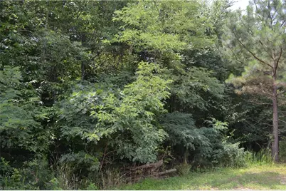 Lot 00 Ponderosa Road, Stoneville, NC 27048 - Photo 1