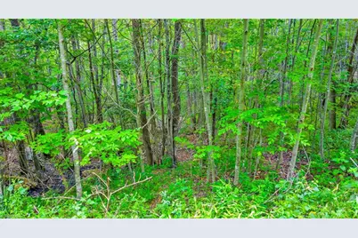 Tbd 6 Christmas Mtn Lane, Fleetwood, NC 28626 - Photo 19