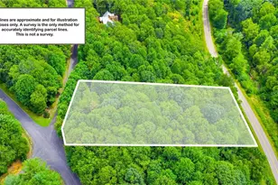 Tbd 6 Christmas Mtn Ln, Fleetwood, NC 28626 - Photo 1