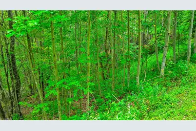 Tbd 6 Christmas Mtn Lane, Fleetwood, NC 28626 - Photo 17