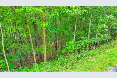 Tbd 6 Christmas Mtn Lane, Fleetwood, NC 28626 - Photo 13