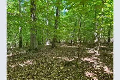 0 Routh Road, Franklinville, NC 27248 - Photo 11