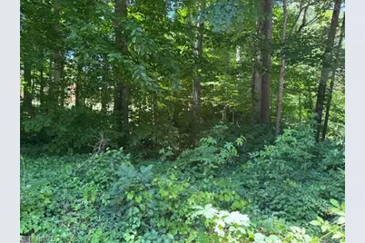 271 Holly Lane, Mocksville, NC 27028 - Photo 9