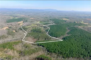1019 George Rd, Westfield, NC 27053 - Photo 7