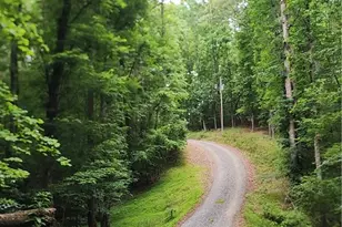 3634 Shoals Rd, East Bend, NC 27018 - Photo 15