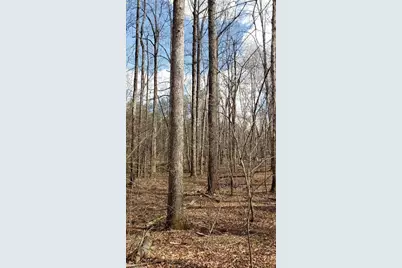 833 Calahaln Road, Mocksville, NC 27028 - Photo 13