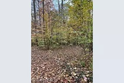 0 Aladdin Road, Pfafftown, NC 27040 - Photo 5