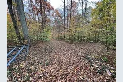 0 Aladdin Road, Pfafftown, NC 27040 - Photo 3