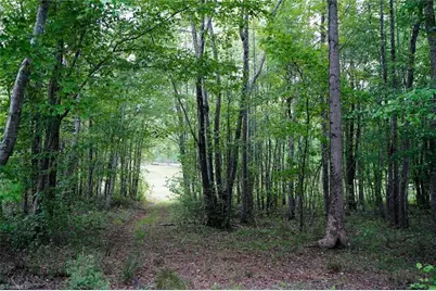 258 Peaceful Lane, Cascade, VA 24069 - Photo 41